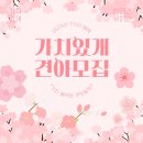 가치있개 반려견 유치원 이미지