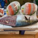 일종수산 이미지