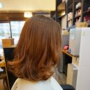 오동동108 이미지