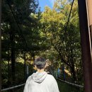 고요부부농장 네이버블로그