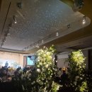 삼정투어 이미지