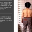 마이바디1253