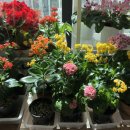 금강자동차세차장 이미지