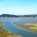 함초농장 이미지