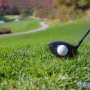 과천스크린골프존 이미지