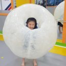 아리솔태권도장 이미지