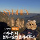 쏘탄픽쳐카 | 시드니 블루마운틴 투어 내돈내산! 소규모라 좋았던 마이시드니 후기