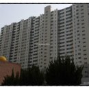 포항학잠 도장 이미지