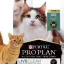 윤쌤동물병원 이미지