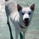 삼봉주유소 이미지