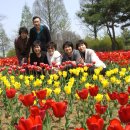 마음은 소녀 이미지