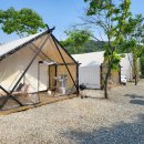 히든캠프 이미지