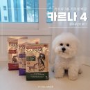 퍼피츄 | 카르나4 기호성 테스트｜이지츄 피쉬 치킨 덕 사료 4년 급여 후기