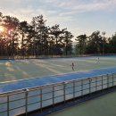 시민체육공원 인라인스케이트장 이미지