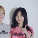 엘레쎄(ellesse)