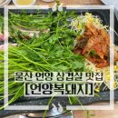 언양복돼지