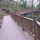 제암산자연휴양림 더늠길 이미지