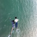아기다리고기다리던 여름휴가