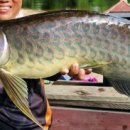 청용농장 이미지