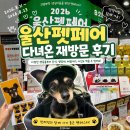 울산국제매직컨밴션 | 2026 울산 펫페어 사전등록 펫페스타 재방문 후기