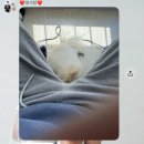 씨유 대전지족드림점 | 매일이 기념일 같은 하루를 보내고 있어요