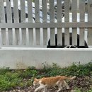 교현2동사무소 이미지