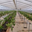 보은학림농장 이미지