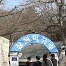 장원막국수 | 부여 맛집| 부여 웨이팅 맛집 ‘장원막국수’ 후기