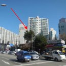 옵티마기쁨약국 이미지