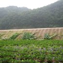 햇빛농장 이미지