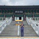 청계산 문화화장실 | [정토사] 청계산입구 근처 템플스테이 추천 (휴식형)•대중교통 편리한 템플스테이