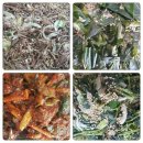 가인농장 이미지