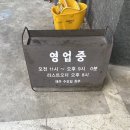 볼고롱짬뽕본점 | 제주 짬뽕 맛집 도민 맛집 볼고롱짬뽕 서귀포 본점