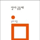 손미