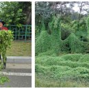 하남시종합사회복지관(4층) 이미지