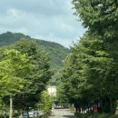 완산-10 | 전주 에어비앤비 내돈내산 후기 :: 한옥마을 도보 10분, 꽃동산 완산벙커 / 4인 감성 숙소