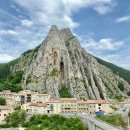 몽그라니 이미지