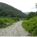 대안1길 이미지