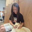 오마이펫