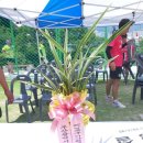 종합운동장 족구장 이미지