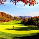 2X 골프 아카데미 이미지