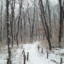 불암산배드민턴장 이미지