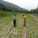 평사리주유소 이미지