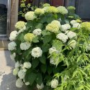 안성동인요양병원 이미지