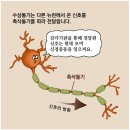 보리연구소예맥 | 수(數)의 신비스러움과 머리가 좋아지는 수학