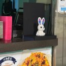 트윈스헤어아트 | 지금부터 구운란만 먹어