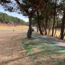 양산신-2021 이미지