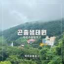 곤충생태원내 화장실(무당벌레) | 예천 곤충생태원 대구근교 아이와 가볼만한곳 모노레일