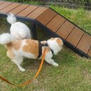 운동장길R 이미지