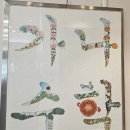 의학계열의 이해와 준비방법 | 시지학군 고등학교가 궁금한 동도중 2학년 학부모의 의학계열 상담 이야기